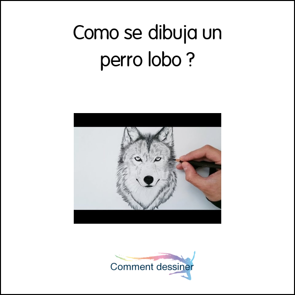 Cómo se dibuja un perro lobo